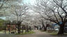 公園　地行北緑地（公園）まで1054m