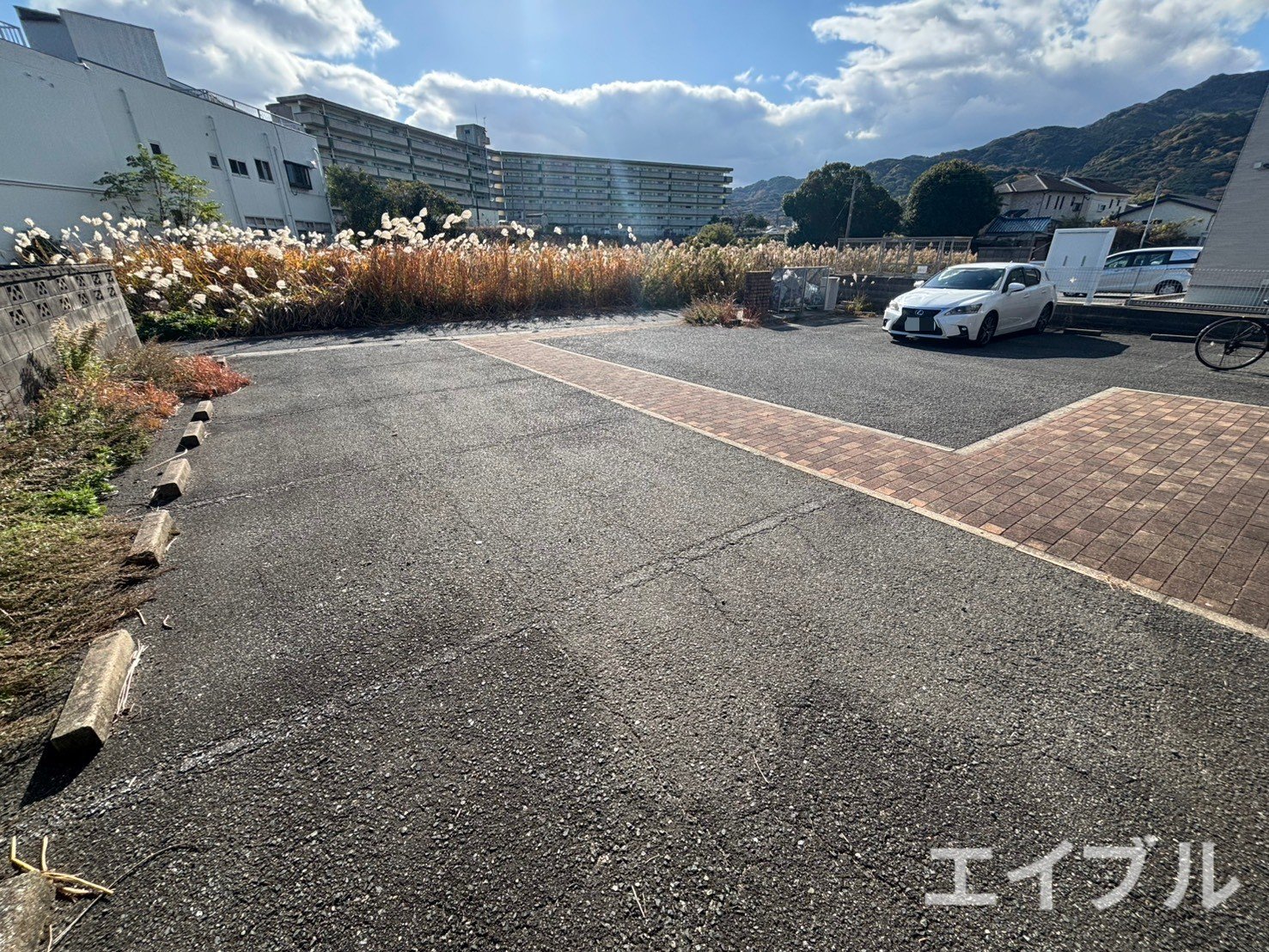 エスポワールホリIIのその他写真