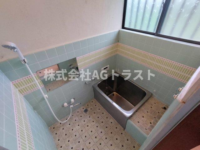 貸家 蓮田市大字上平野の玄関写真