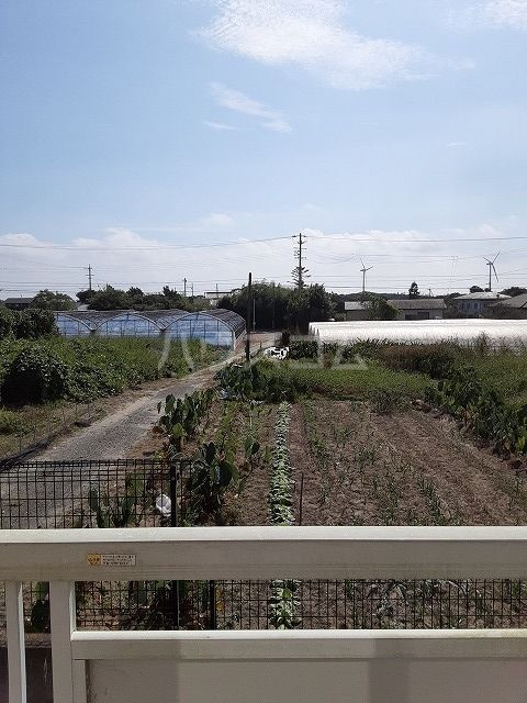 Surplusとまり木のその他写真