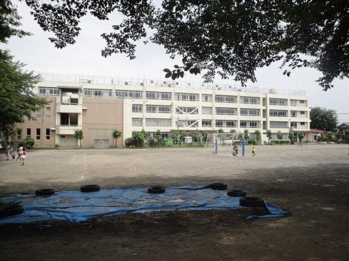 小学校　日野第七小学校（小学校）まで659m