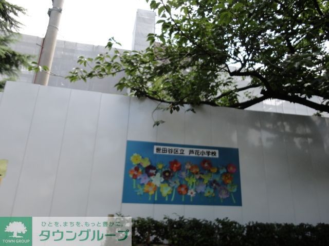 小学校　芦花小学校（小学校）まで724m