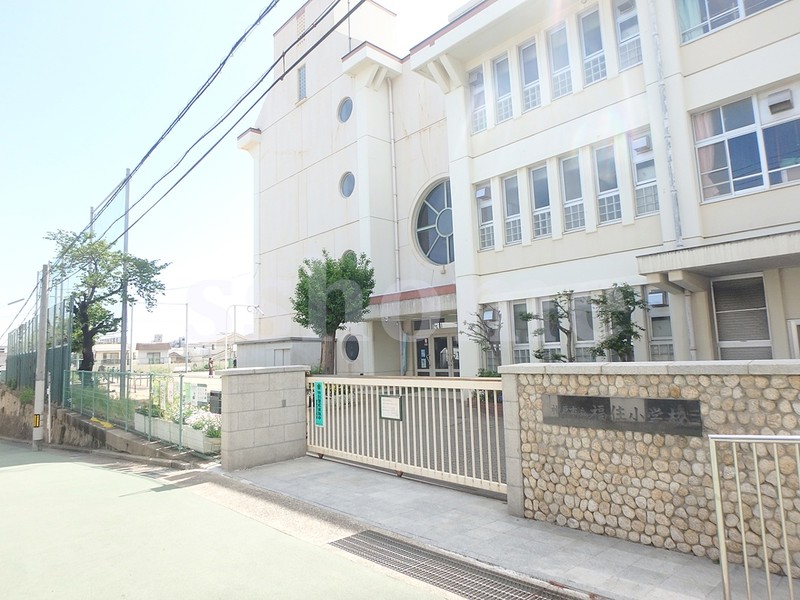 小学校　神戸市立福住小学校（小学校）まで210m