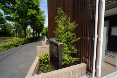 エントランス　植栽
