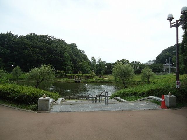 【カッシーナの公園】