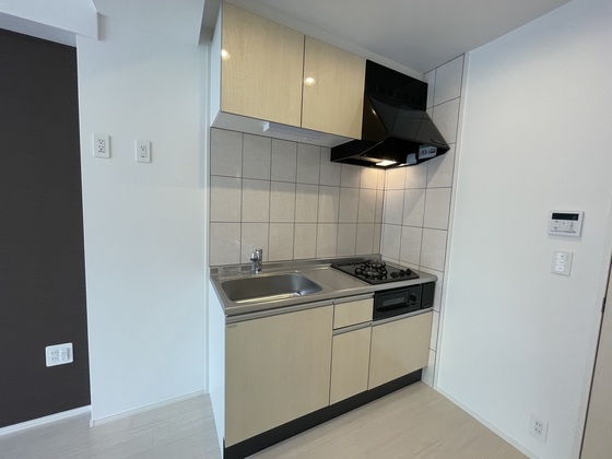 キッチン　※別号室の写真です