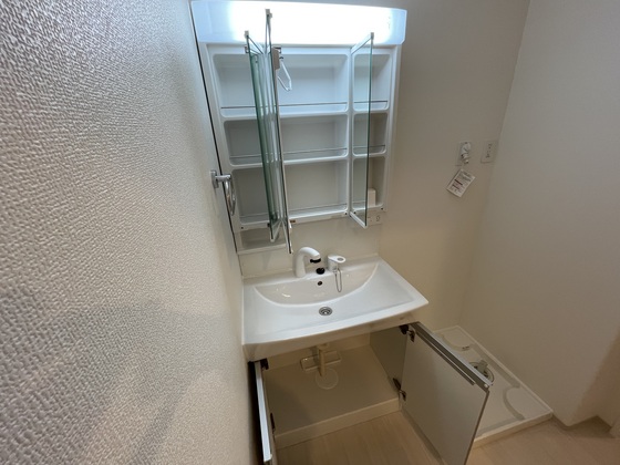 洗面設備　※別号室の写真です
