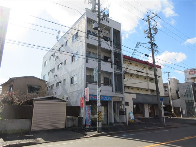 建物外観　ハイネス桜山