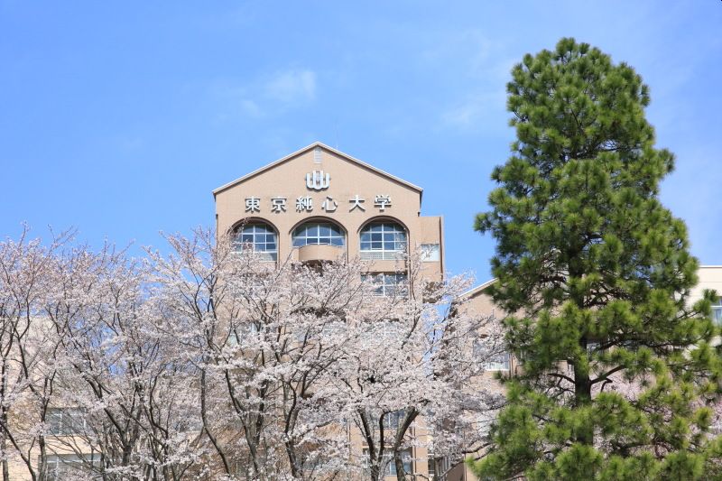 大学・短大　私立東京純心大学（大学・短大）まで545m