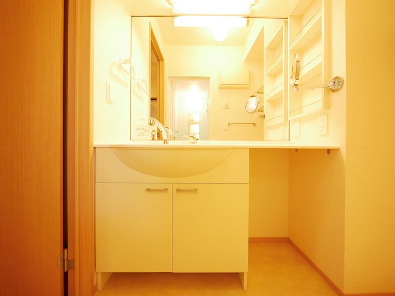 洗面設備　シャンプードレッサー（カウンタータイプ）