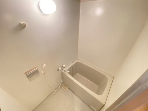 バス・シャワールーム　※別部屋の写真です