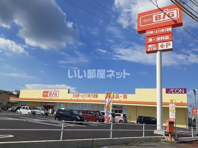 スーパー　ザ・ビッグ（スーパー）まで1243m
