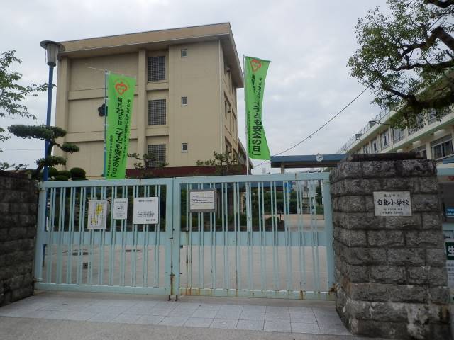 小学校　広島市立白島小学校（小学校）まで490m