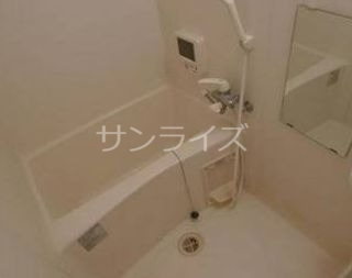 バルーンフラワー諏訪の風呂写真