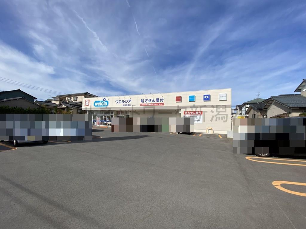 ドラックストア　ウエルシア新潟寺尾店（ドラッグストア）まで919m