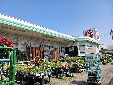 ホームセンター　コメリ（ホームセンター）まで550m