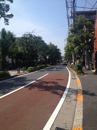 その他　近くの桜並木。