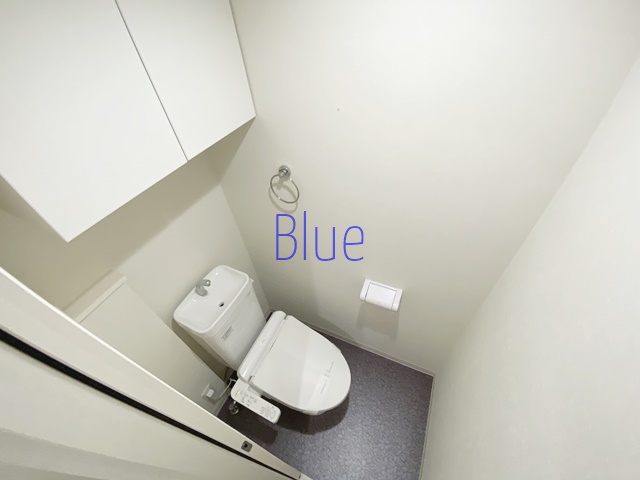 エフ・パークレジデンス東神奈川アネックスのトイレ写真