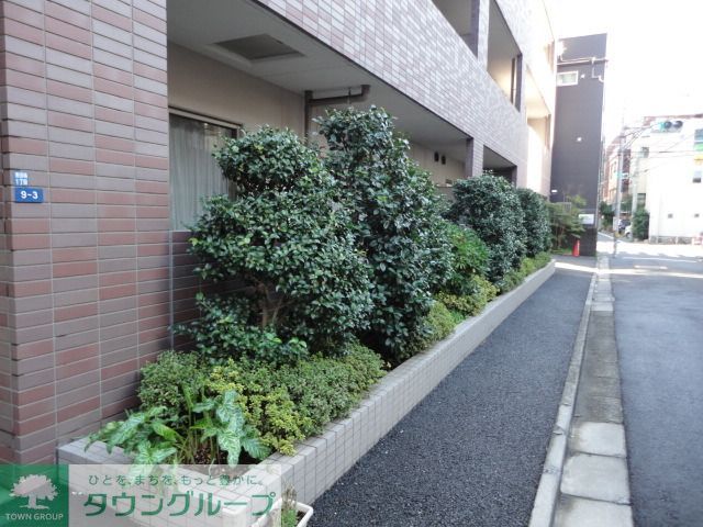 庭