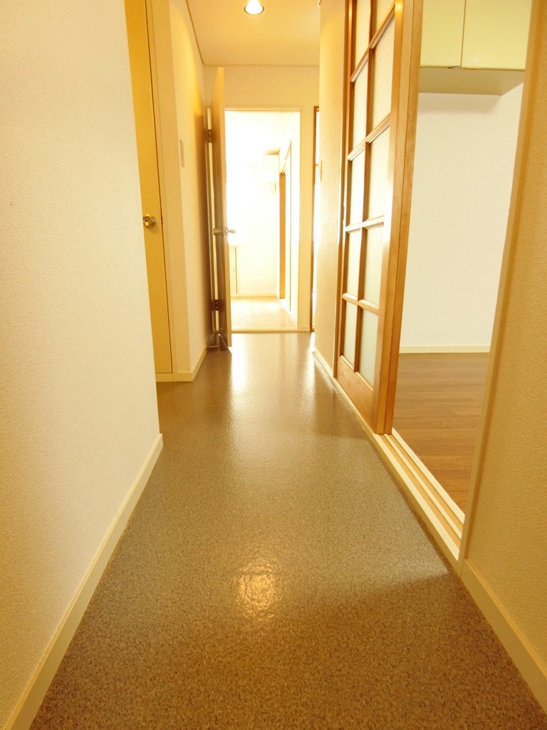 玄関　同タイプ別号室のお写真になります。