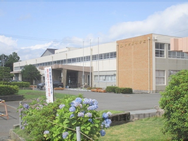 小学校　今津東小学校（小学校）まで7400m