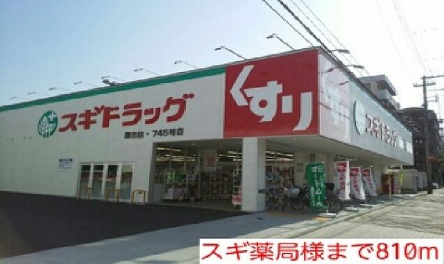 その他　スギ薬局様（その他）まで810m