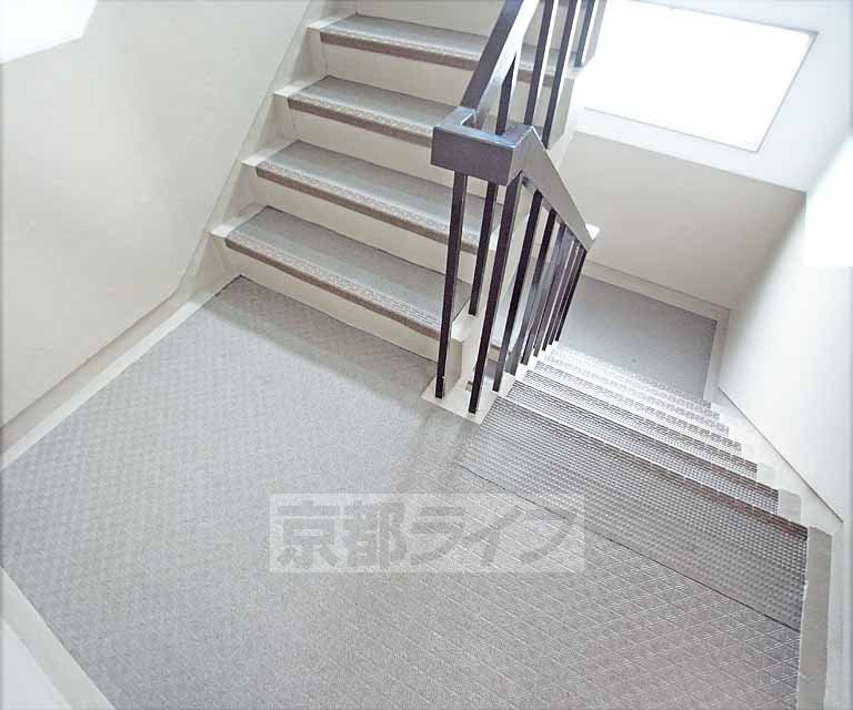 その他　目の前の道路です。