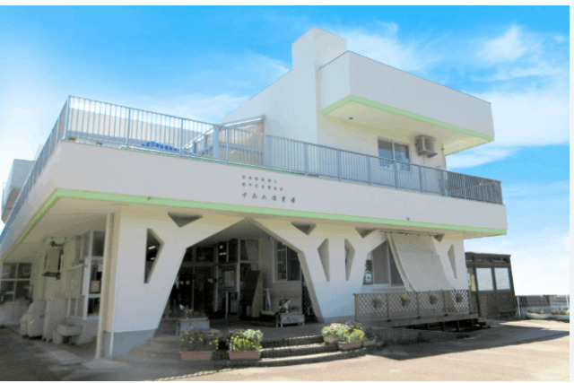 幼稚園・保育園　すみれ保育園（幼稚園・保育園）まで142m