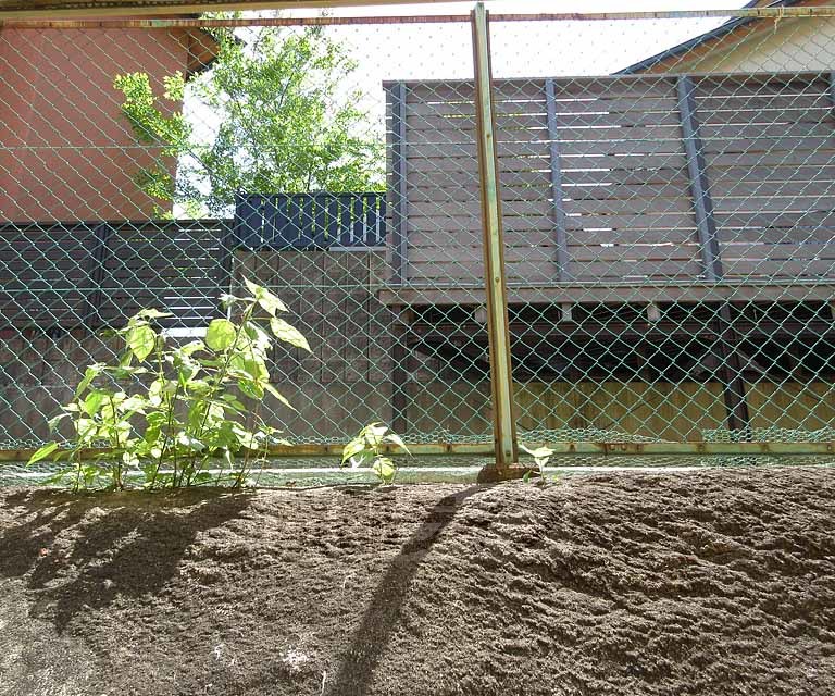 眺望　閑静な住宅地です