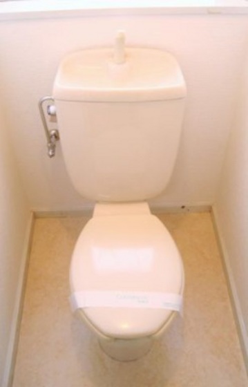 トイレ　他号室のお写真です