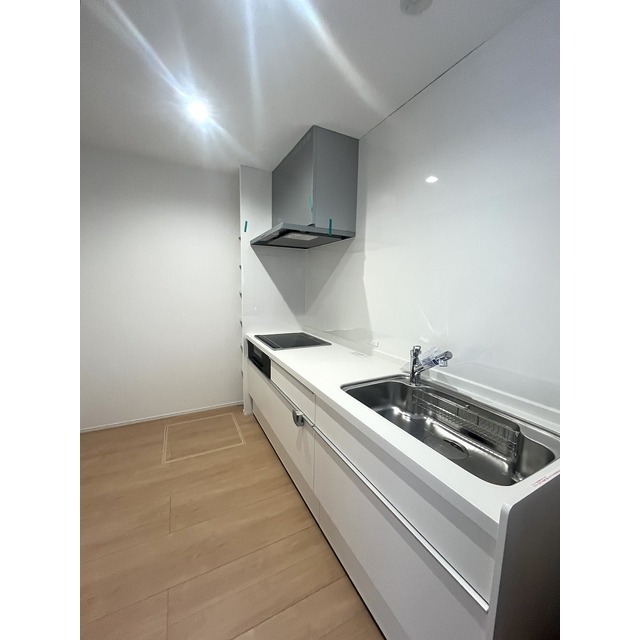 キッチン　反転タイプII号室の写真となります。