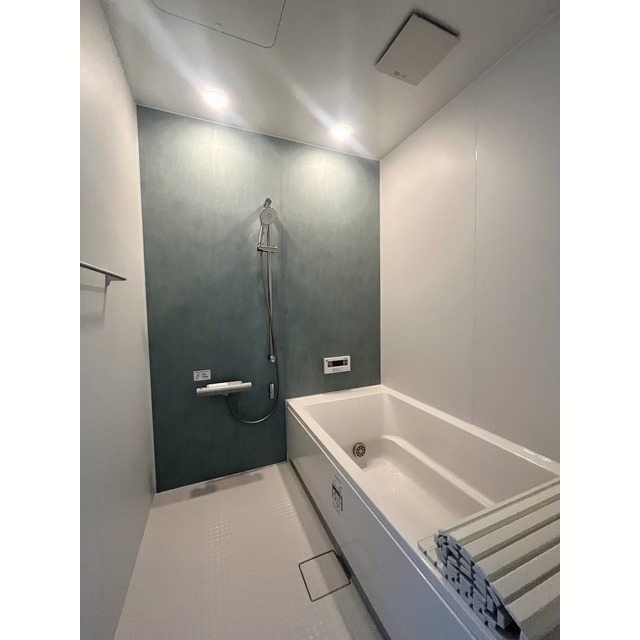 バス・シャワールーム　反転タイプII号室の写真となります。