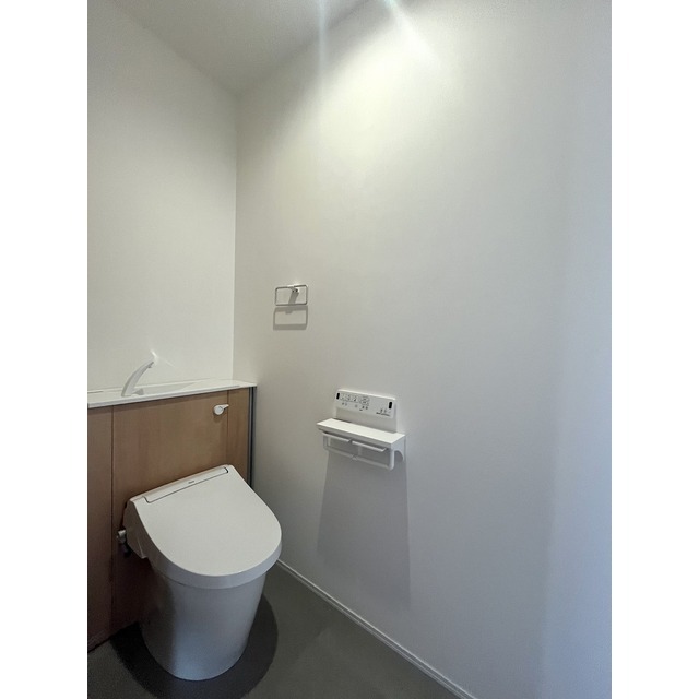 トイレ　反転タイプII号室の写真となります。