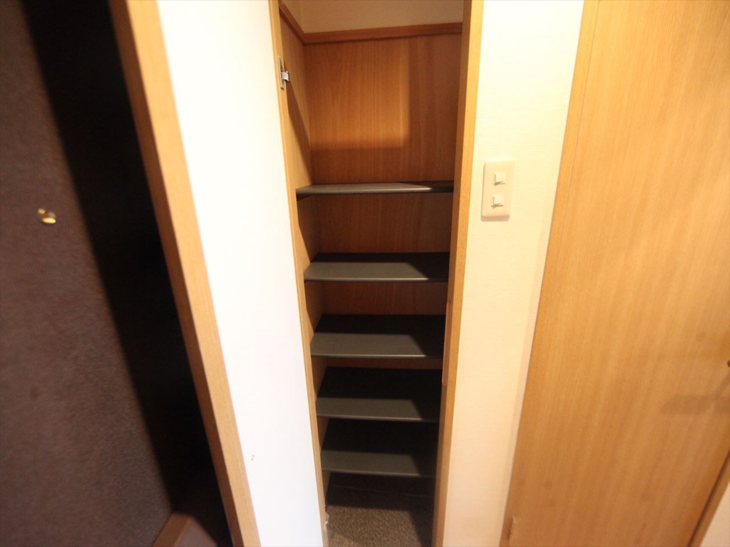 玄関　玄関　シューズボックス付（収納充実してます）