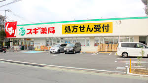 ドラックストア　スギ薬局 練馬三原台店（ドラッグストア）まで435m