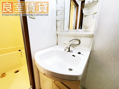 洗面設備　※同タイプの間取り写真を使用。現状優先。