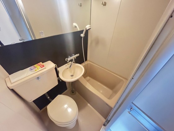 バス・シャワールーム　※別部屋の写真です