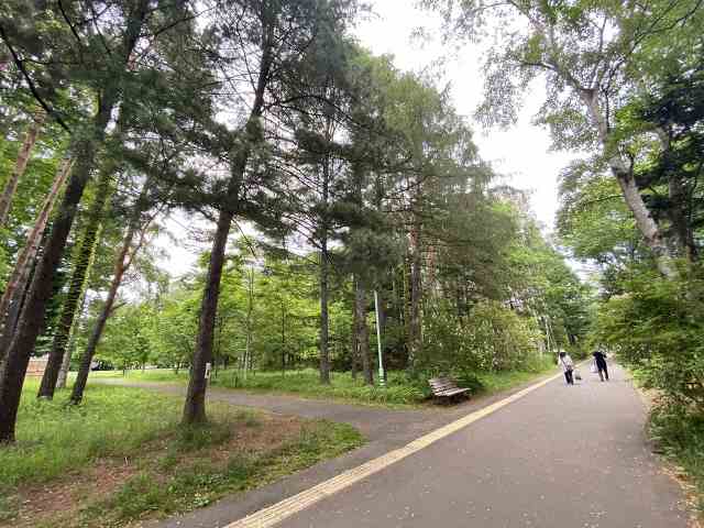 その他　豊平公園（その他）まで556m