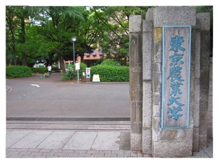 その他　私立東京農業大学（その他）まで453m