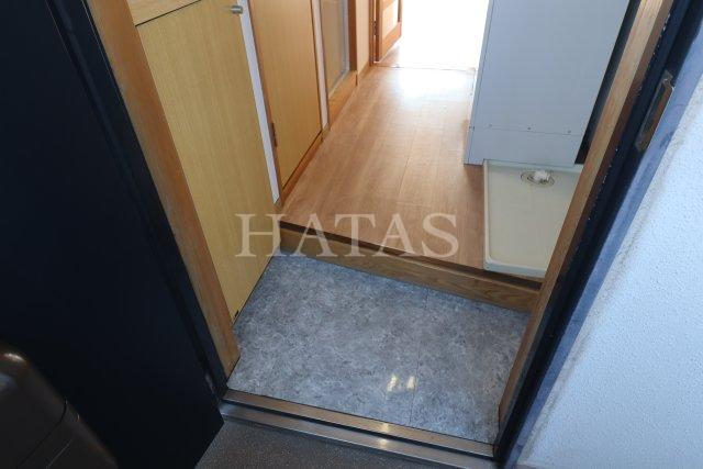 玄関　同物件別部屋