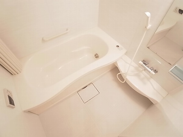 バス・シャワールーム　同物件・別物件写真