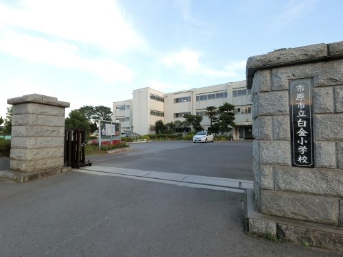 小学校　市原市立白金小学校（小学校）まで385m