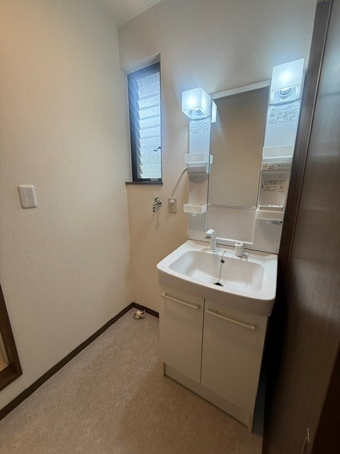 洗面設備　お掃除にも便利なシャワードレッサー