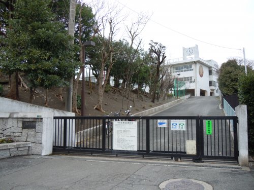 小学校　根岸小学校（小学校）まで619m