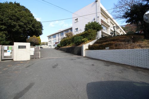 中学校　横須賀市立公郷中学校（中学校）まで982m
