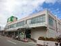 スーパー　ライフ深井店（スーパー）まで1994m