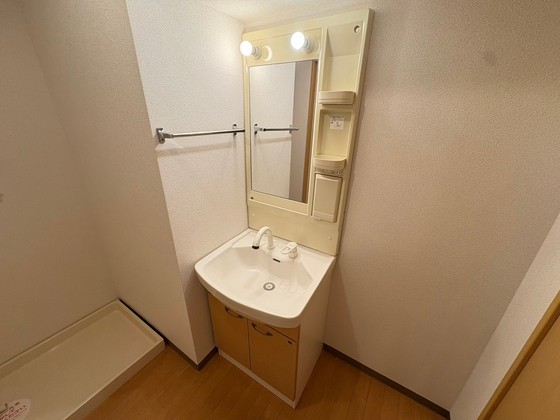 洗面設備　※別号室の写真です