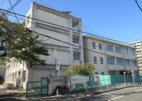 小学校　西百舌鳥小学校（小学校）まで462m