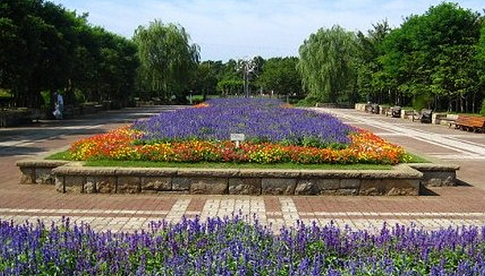 公園　長久保公園（公園）まで260m