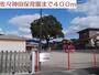 佐々神田保育園（幼稚園・保育園）まで400m
